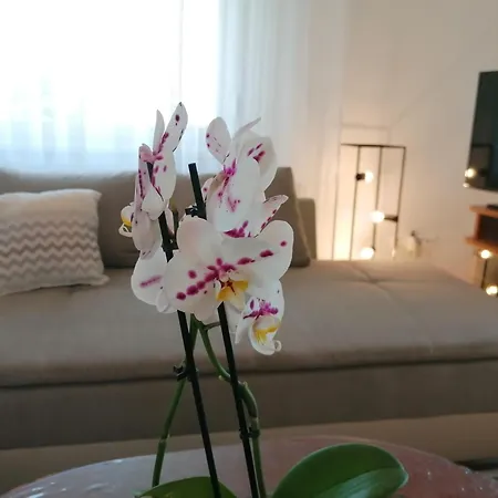 公寓 Balaton Golden Coast 希欧福克